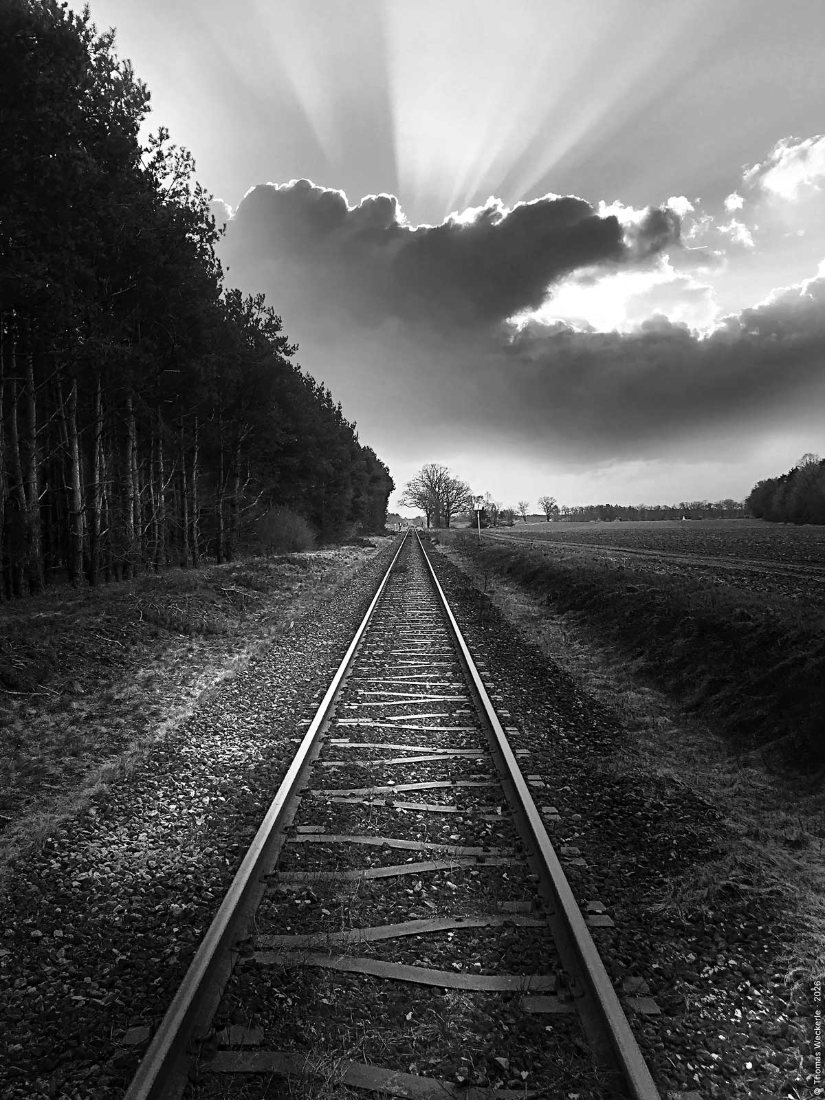 ©Thomas-Weckerle-Ab-und-An-04