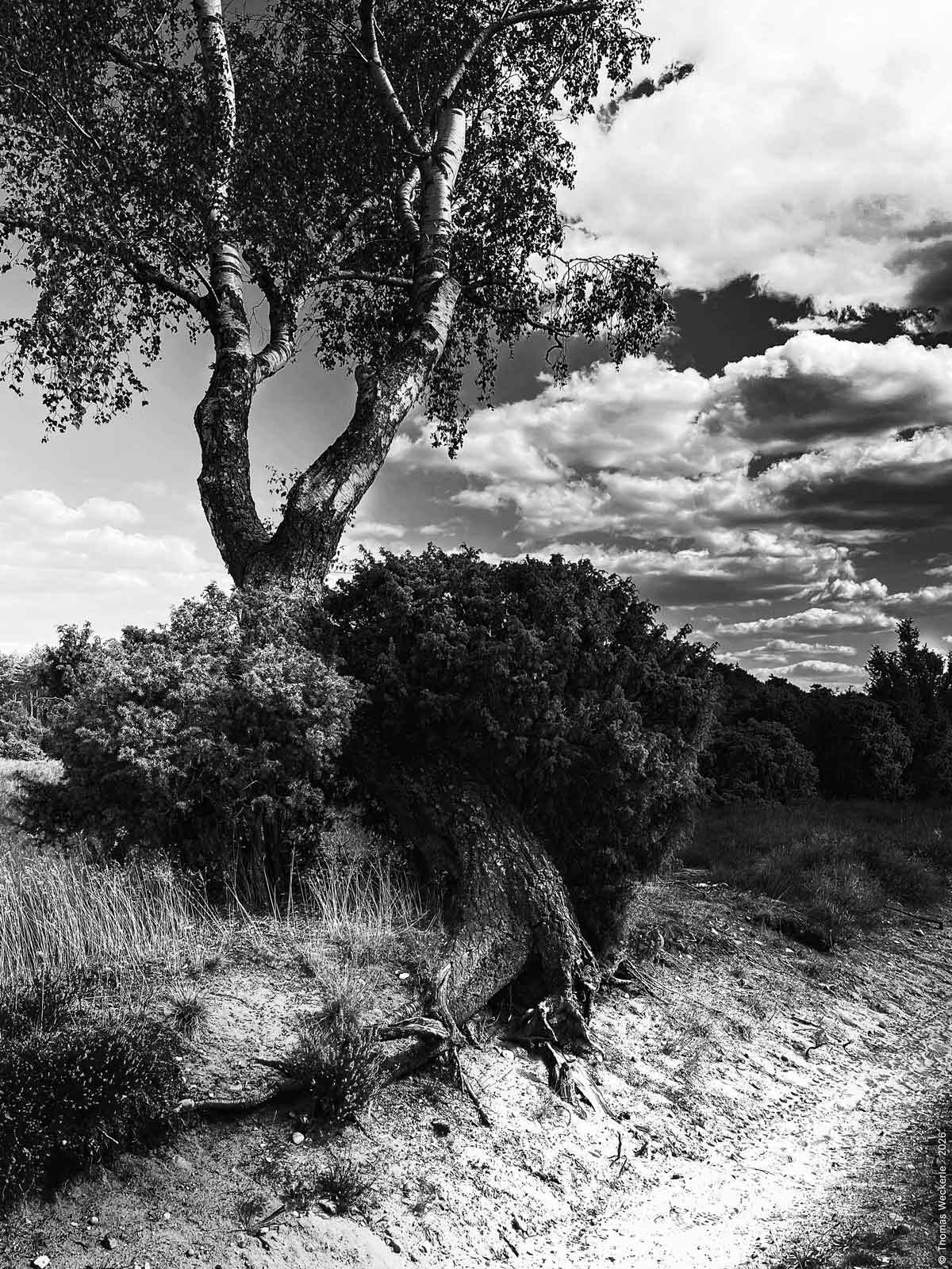 ©Thomas-Weckerle-Ab-und-An-06